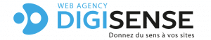 LOGO-DIGISENSE